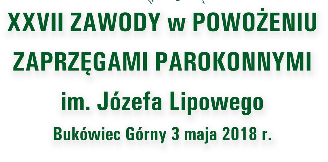 Zawody konne 2018