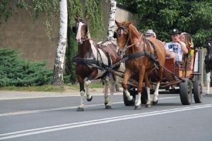 Dożynki w Bukówcu Górnym 2019-30