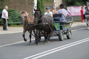 Dożynki w Bukówcu Górnym 2019-49