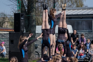 Bieg Sokoła 2019-135
