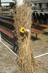 Dożynki2015-10