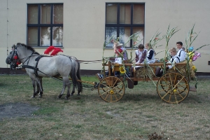 Dożynki2015-13