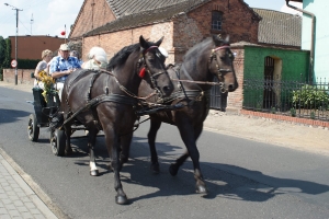 Dożynki2015-21