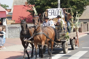 Dożynki2015-38