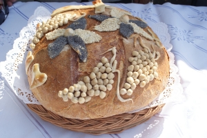 Dożynki2015-61