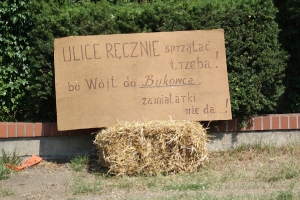 Dożynki2015-6