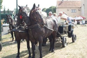 Dożynki2015-74
