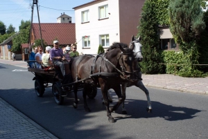 Dożynki 2016-29