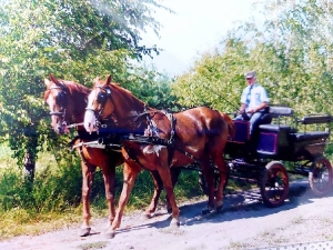 Krystian Samol-25